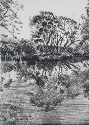 Afternoon Reflection