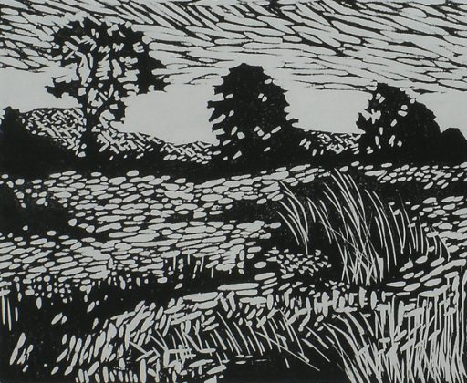 Field Near The Mersey (large version)