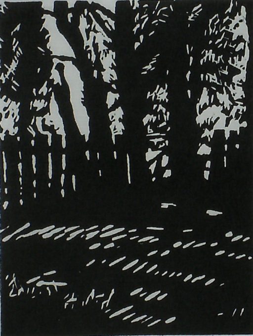 Broken Tree, Broken Fence, Broken Light