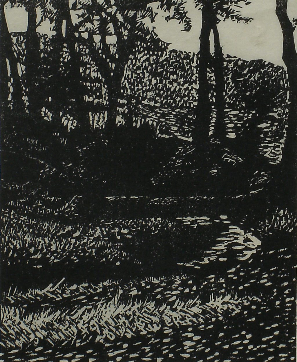 Copse, Smithills Country Park