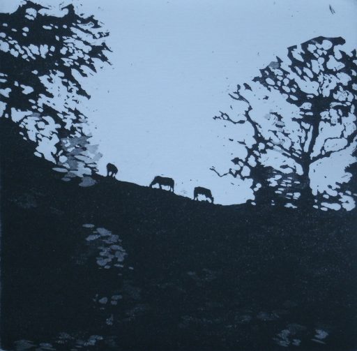 Cows