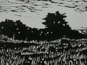 Derelict Dry-Stone Wall