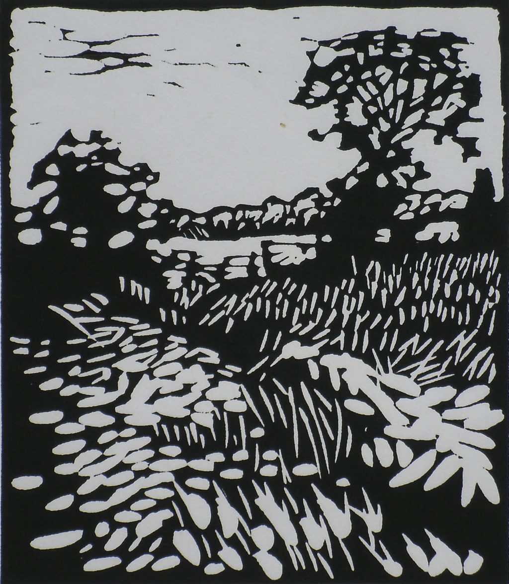 English Summer Field