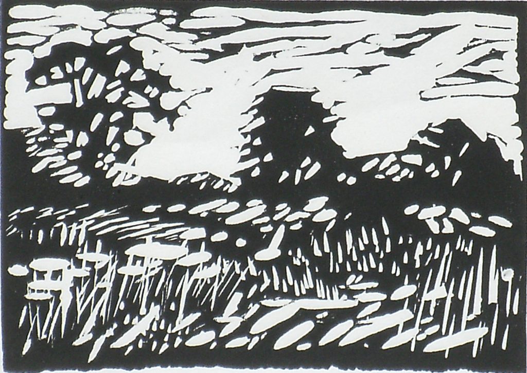 Field Near The Mersey (small version)