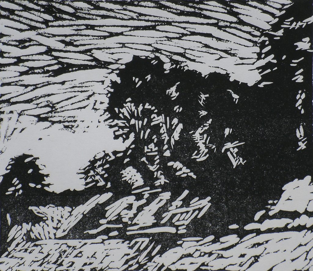 Tall Trees On Banktop