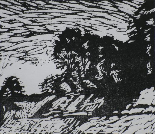 Tall Trees On Banktop
