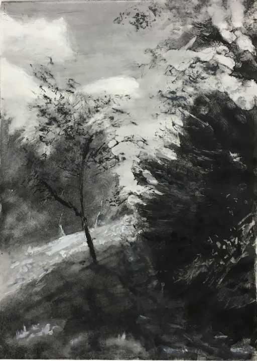Woodland Path No.2