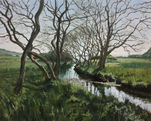 Magical Stream To Sea Loch