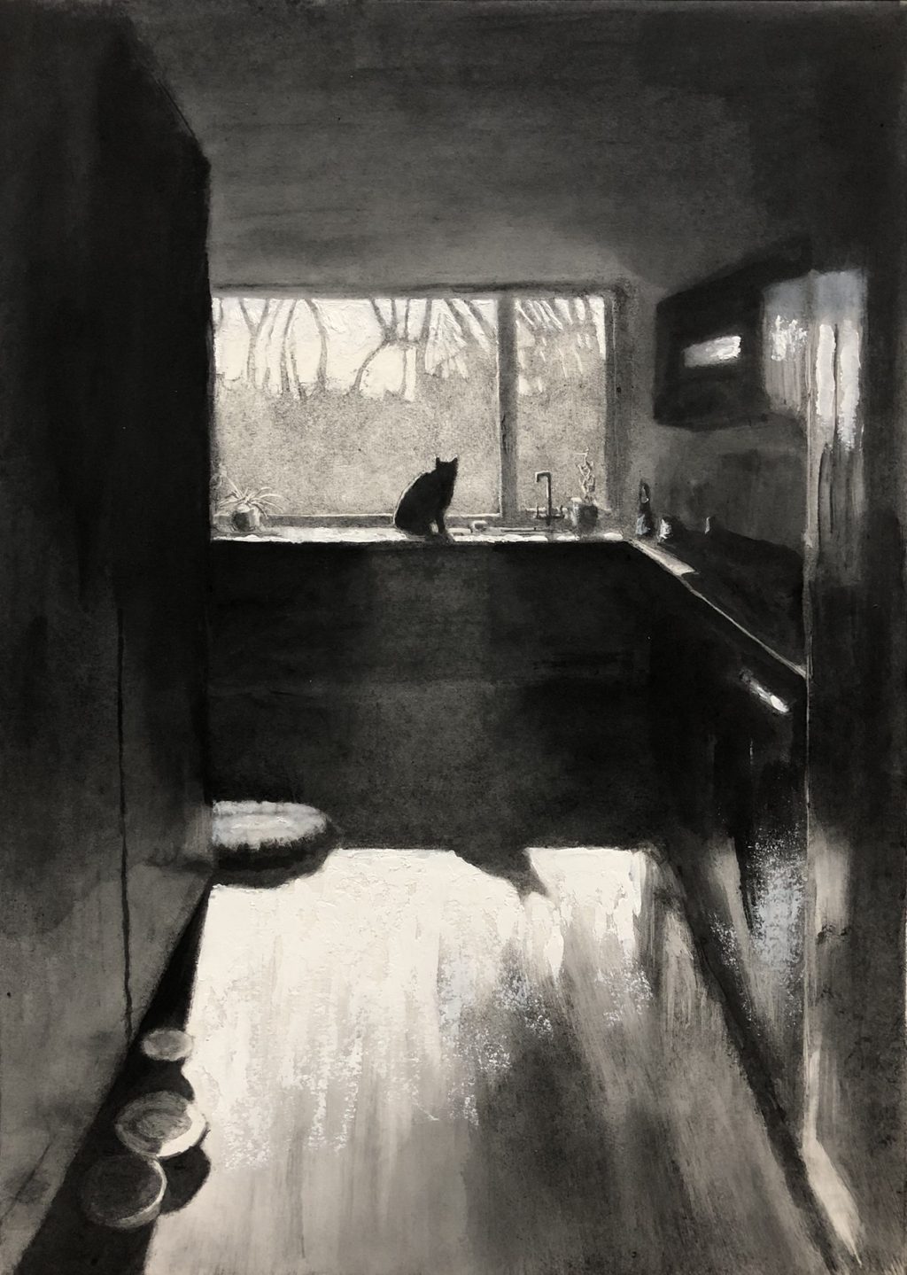 Ornithology Window Shopping, Cat in kitchen window