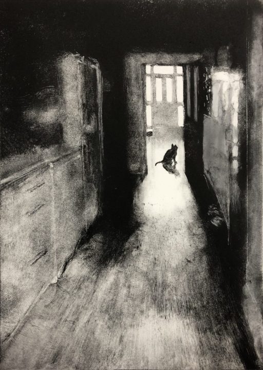 A cat waits in a light filled hallway for its owner