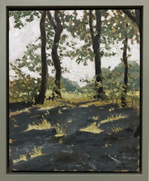 Summer light streaking through trees at Rivington, Lancashire