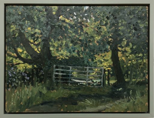 Light dappling a track in dense trees in Smithills