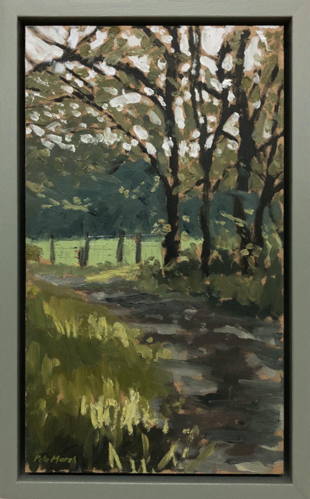 A track at Rivington, Lancsahire dappled by the summer sun