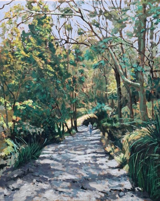 A sun dappled path in the densely populated jungle like park in Sydney.
