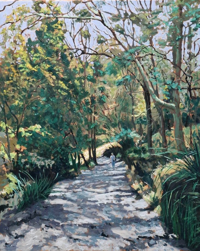 A sun dappled path in the densely populated jungle like park in Sydney.