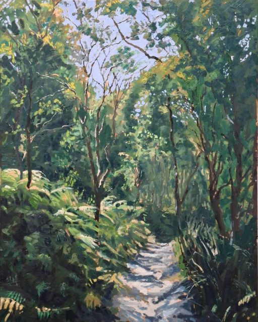 A sun dappled track in the densely populated jungle like park in Sydney.