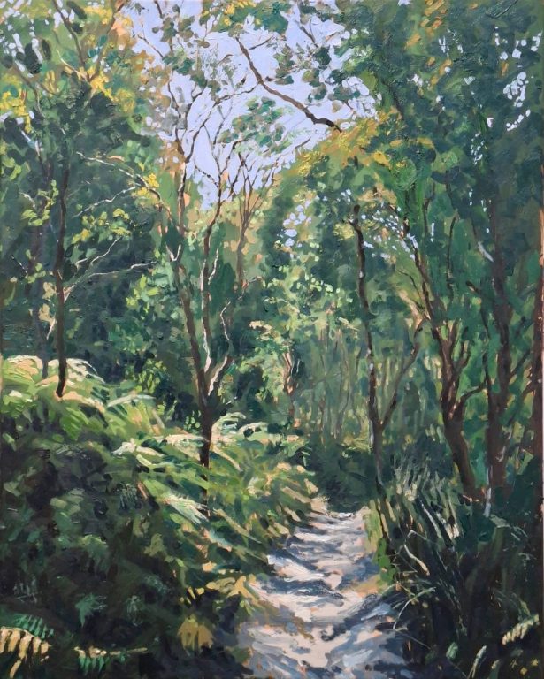A sun dappled track in the densely populated jungle like park in Sydney.