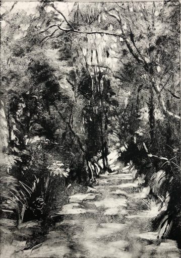 Cooper Park No.5 Cooper Park No.5